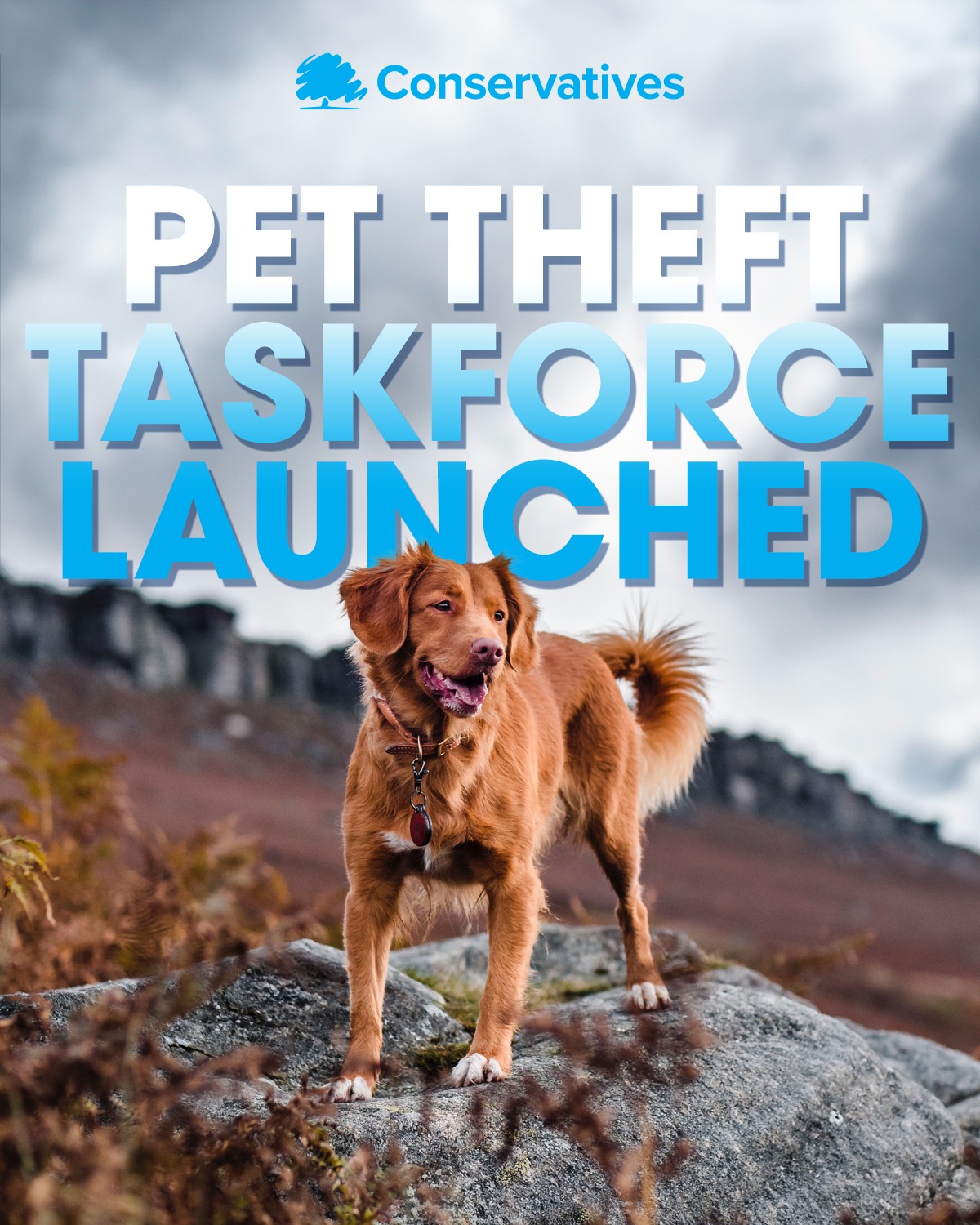 Pet Task Force
